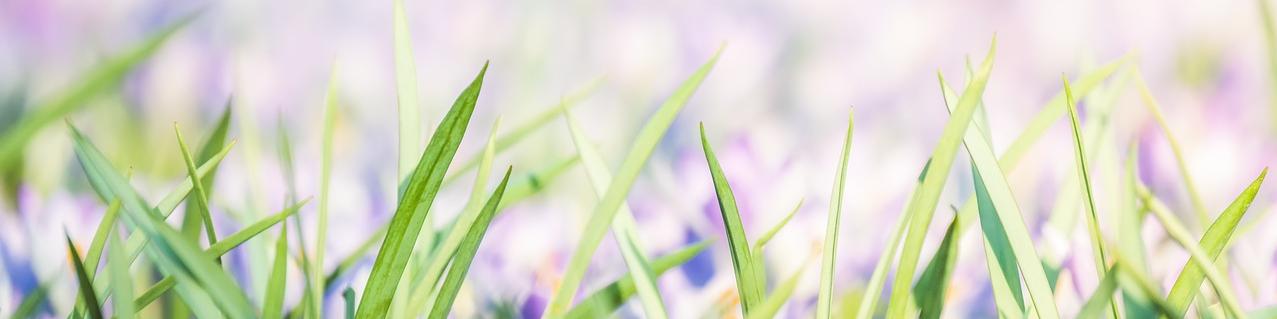 Case Study: Auto Immune and Allergies     