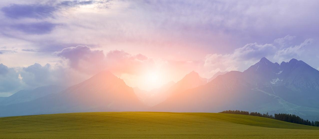 Master Courses at Love & Compassion