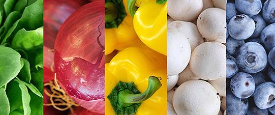 Energetics of Food