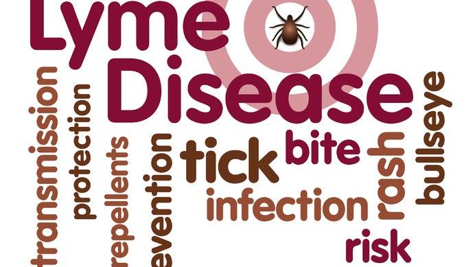 Far Infrared Therapy for Lyme Disease