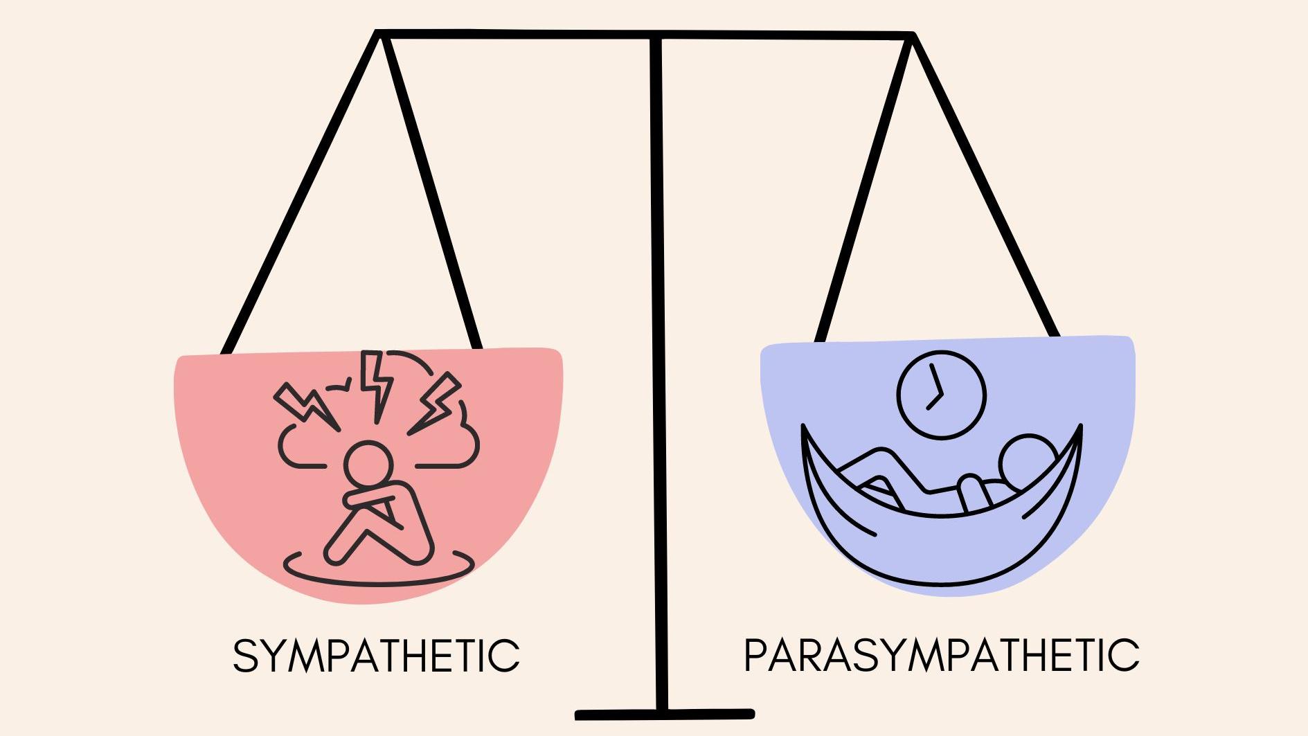 Autonomic nervous system balance