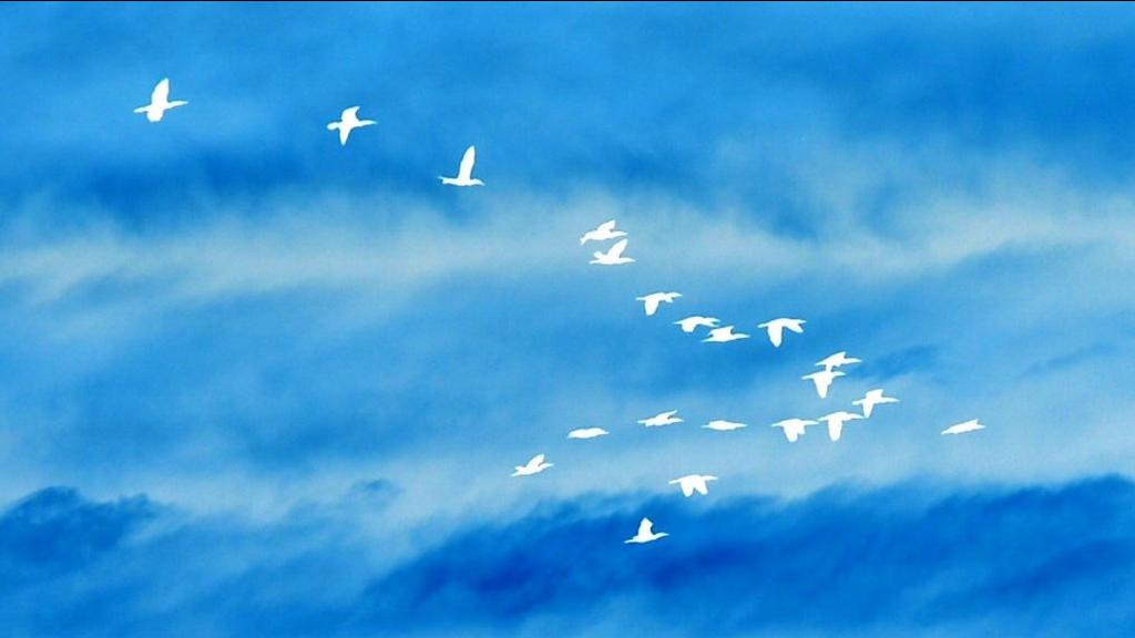 Bridging The Gap: Global & Inner Peace