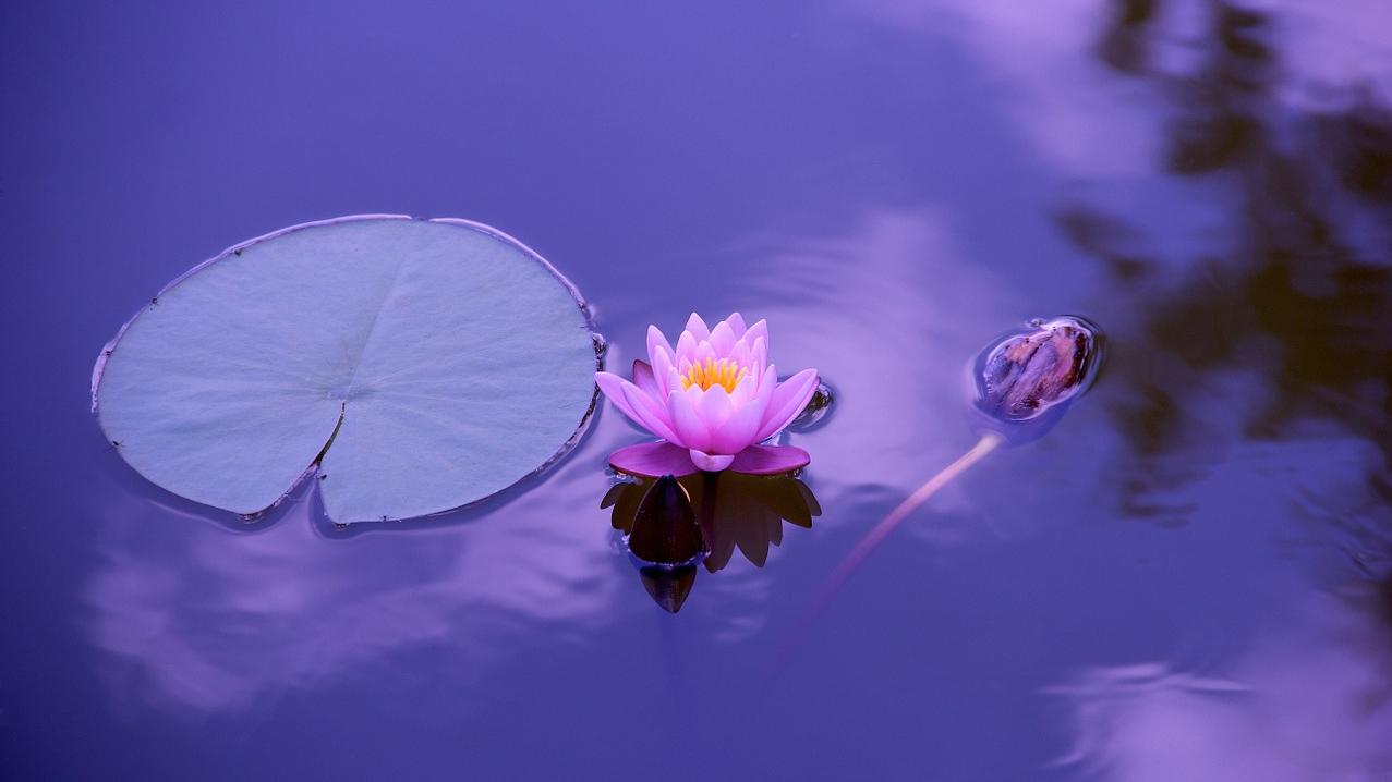 5 Truths about Healing Which may Surprise You