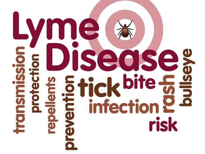 Lyme disease