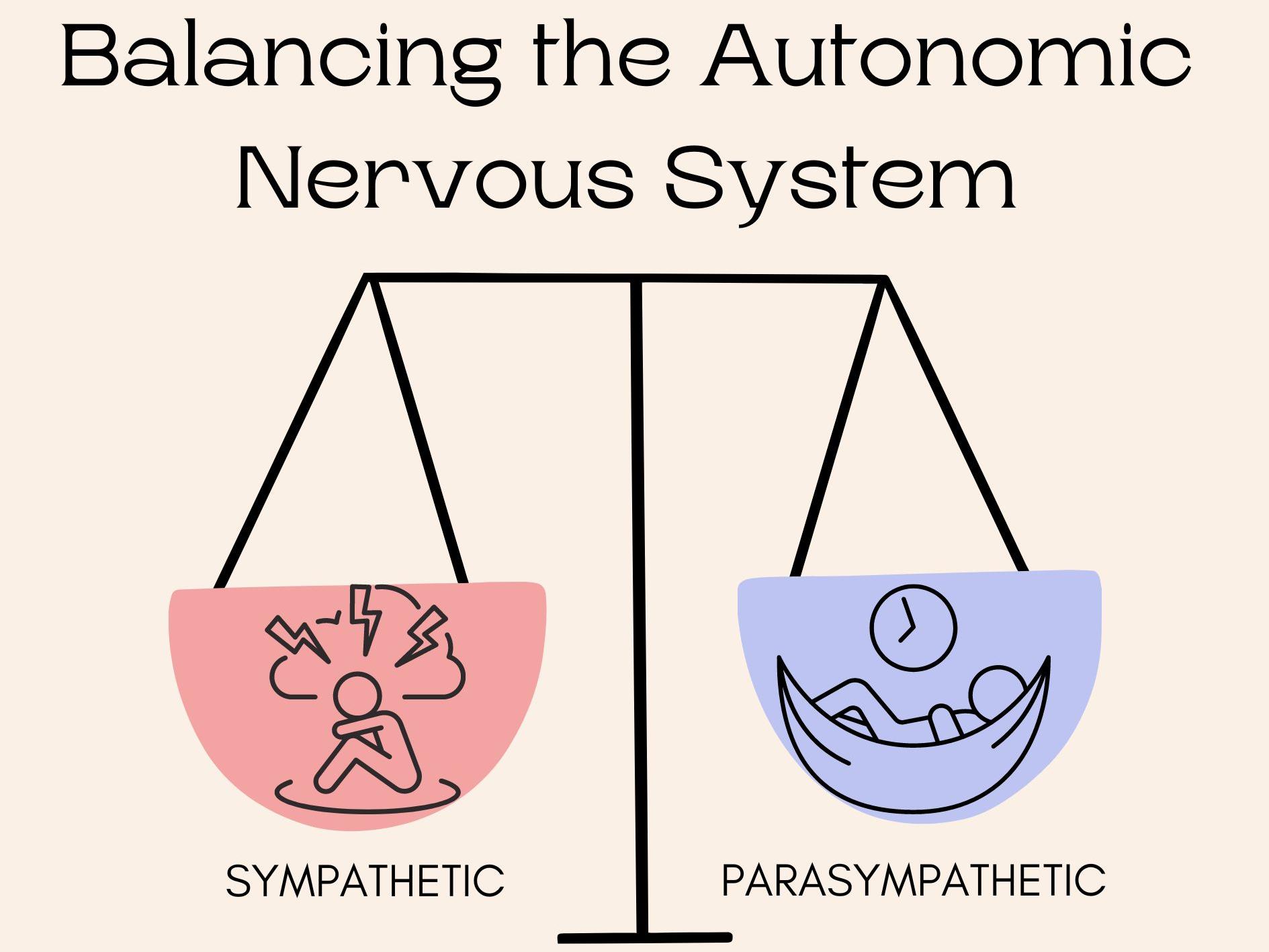 Autonomic nervous system balance