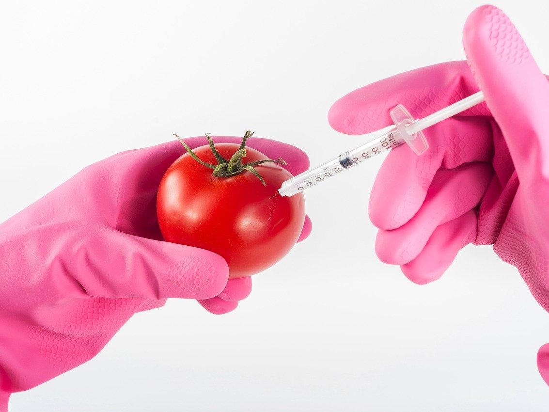 What Are GMOs and Why They are Harmful to Your Health?
